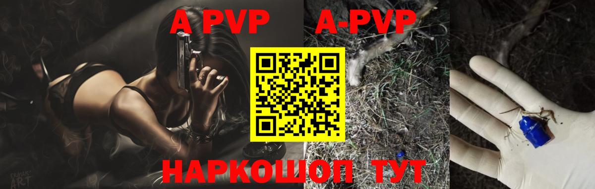 Гатчина  A PVP мука  Вход с VPN  Alpha PVP СК КРИС 